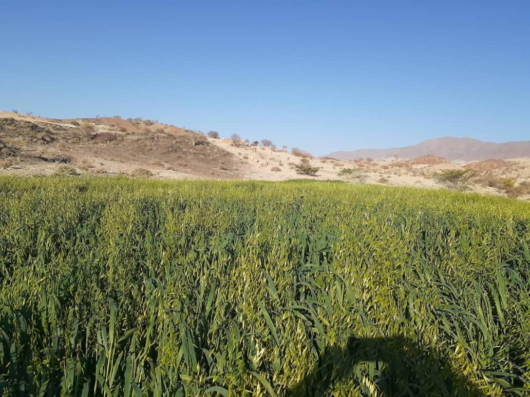 Usakos Achab Camping Camp Site מראה חיצוני תמונה